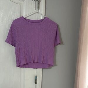 American Eagle Outfitters Purple Crop Top